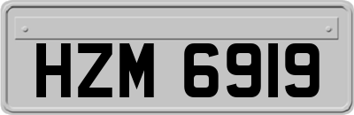 HZM6919