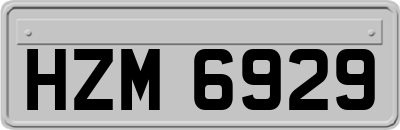 HZM6929