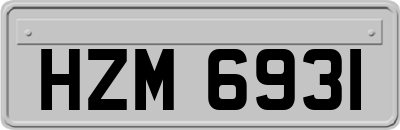HZM6931