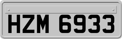 HZM6933