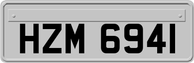 HZM6941