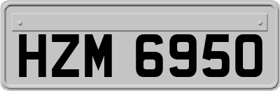 HZM6950
