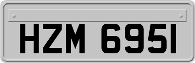 HZM6951