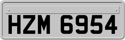 HZM6954