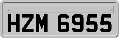 HZM6955