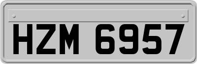 HZM6957