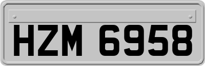 HZM6958