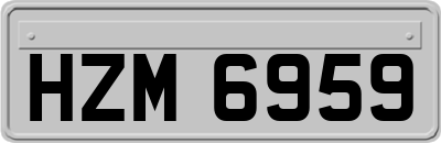HZM6959