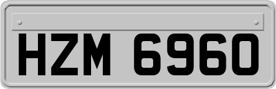 HZM6960