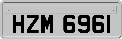 HZM6961