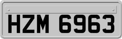 HZM6963