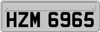 HZM6965
