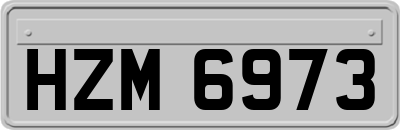 HZM6973