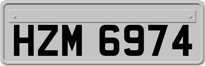 HZM6974