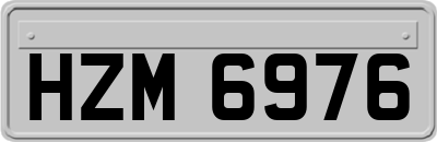 HZM6976