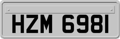 HZM6981