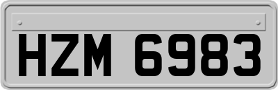 HZM6983