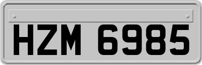 HZM6985