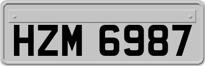 HZM6987