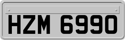 HZM6990