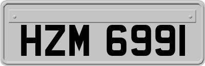 HZM6991