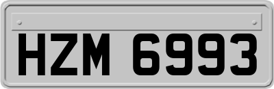 HZM6993