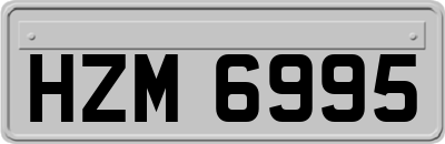 HZM6995