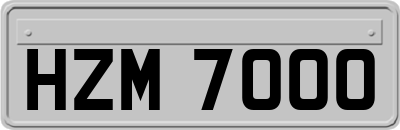 HZM7000