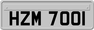 HZM7001