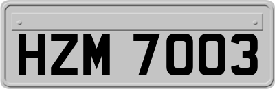 HZM7003