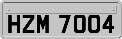 HZM7004