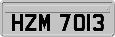 HZM7013