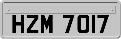 HZM7017