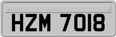 HZM7018