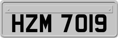 HZM7019