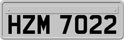 HZM7022