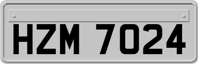 HZM7024
