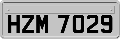 HZM7029