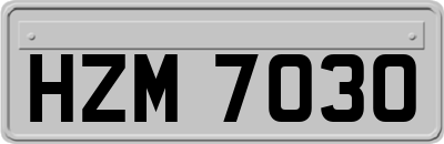 HZM7030