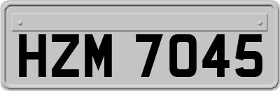 HZM7045
