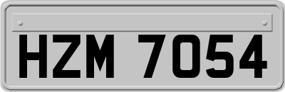 HZM7054