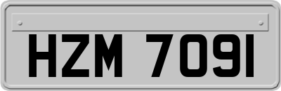 HZM7091