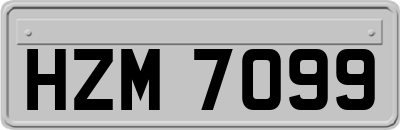 HZM7099