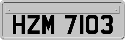 HZM7103