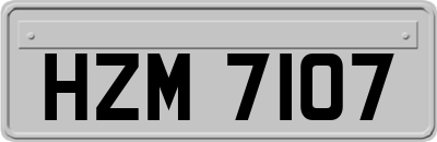 HZM7107