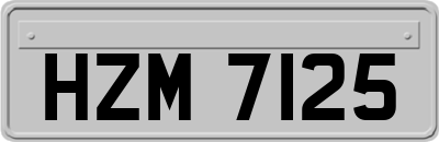 HZM7125