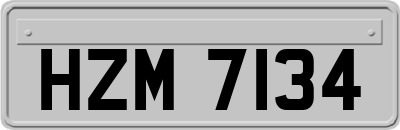HZM7134