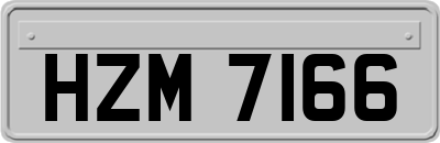 HZM7166