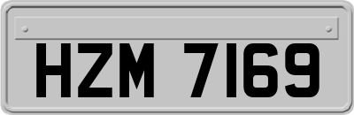 HZM7169