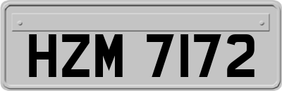 HZM7172